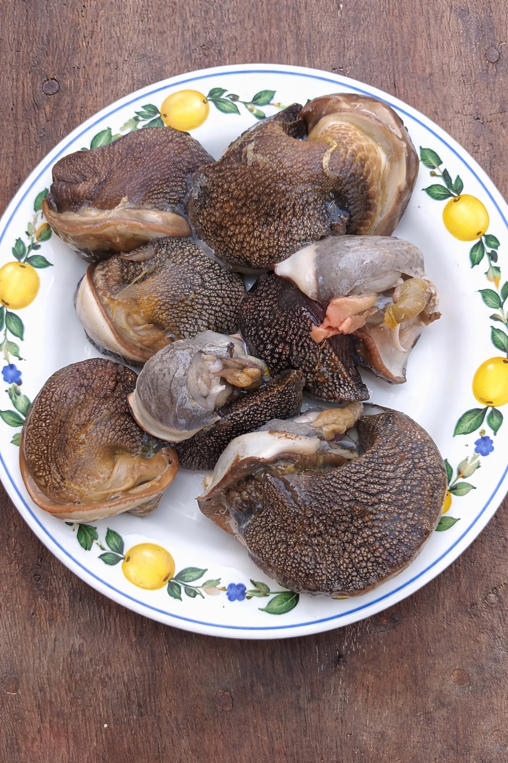 Large Jumbo Snails